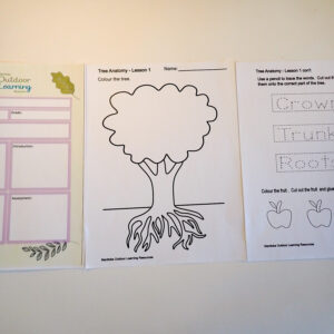 Anatomy of Trees Lesson 1